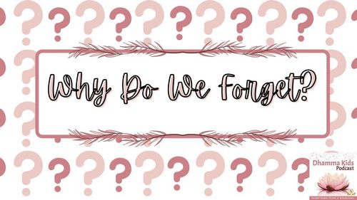 Why do we forget?